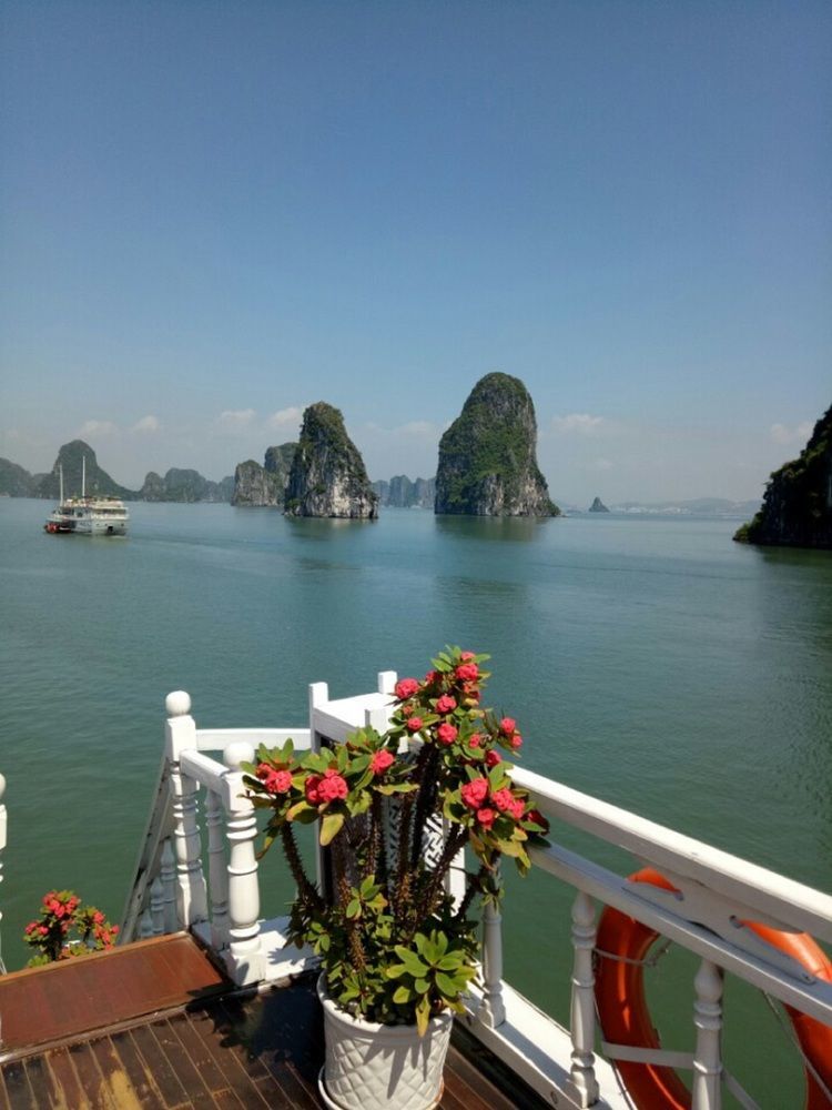 Halong Lavender Cruises Hotel Ha Long Exterior photo